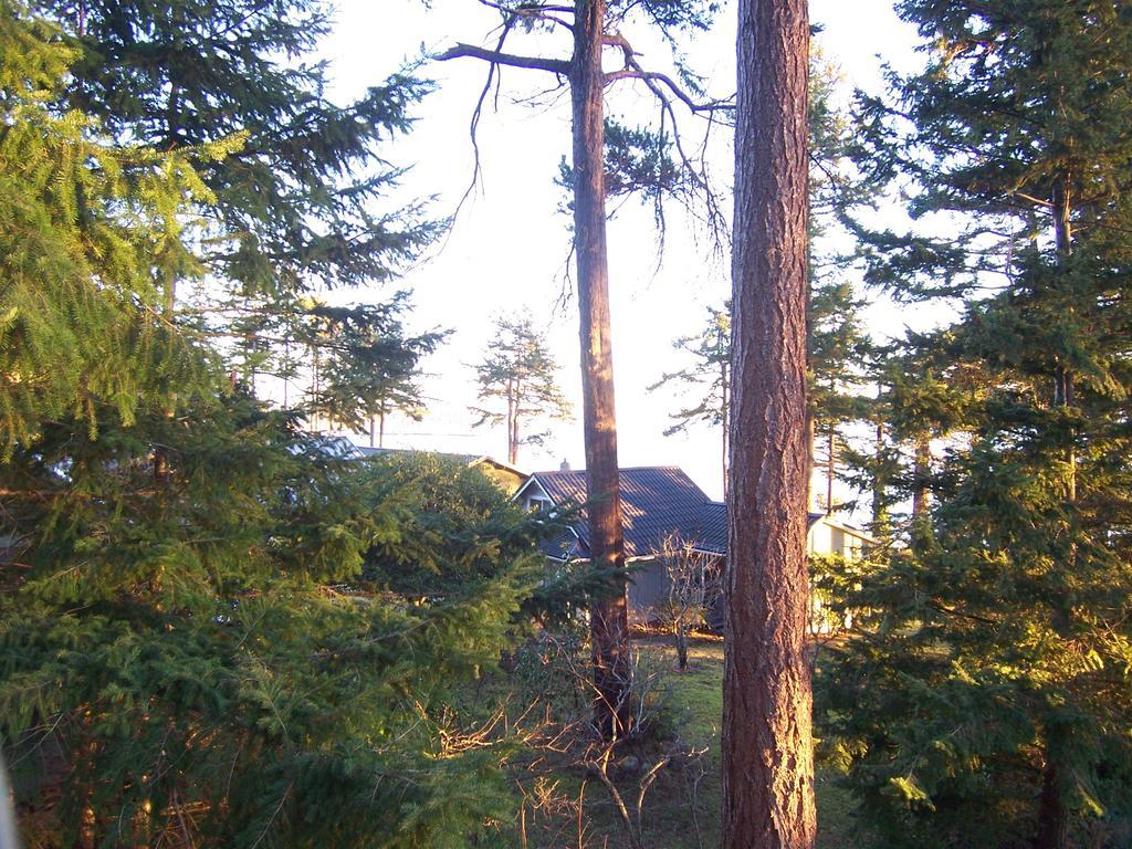 Malaspina Strait Cottage Powell River Exterior photo